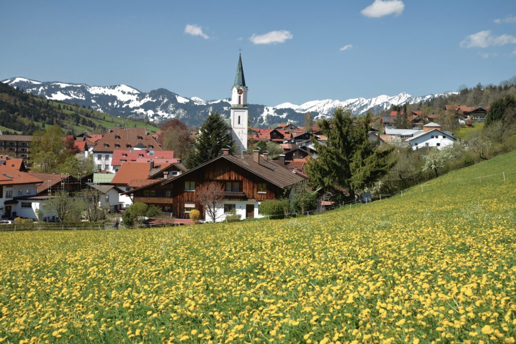 Frühlingshafte Landschaft in Bad Hindelang im Allgäu mit blühender Löwenzahnwiese, Kirche im Ortskern und verschneiten Bergen im Hintergrund.
