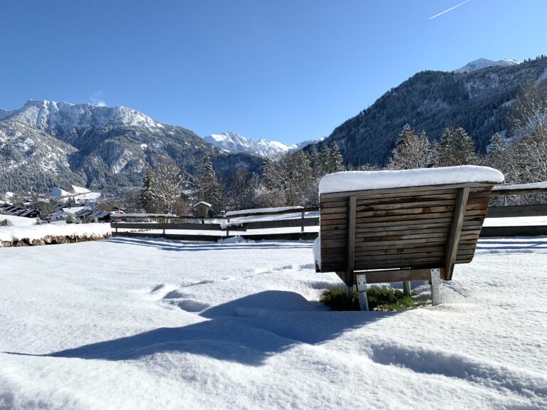 View of the snow-covered mountains