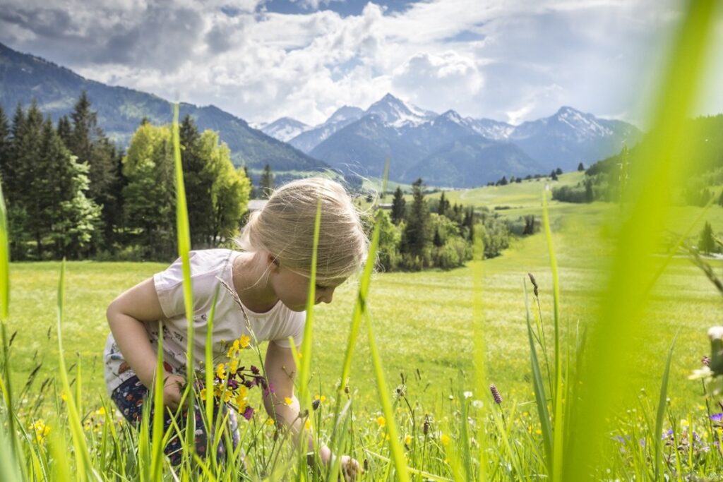 A girl is weeding flowers in an alpine meadow