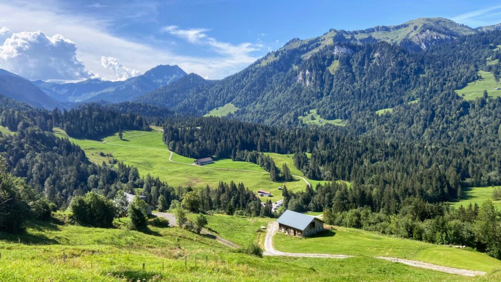 Allgäuer Bergwelt - Titelbild des Frühlingsangebots - GAMS viel Frühling