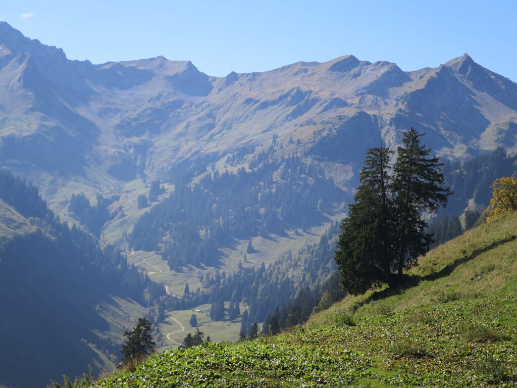 Blick ins Obertal, ein Seitental des Hintersteiner Tals bei Bad Hindelang, mit Almwiesen und Allgäuer Bergen