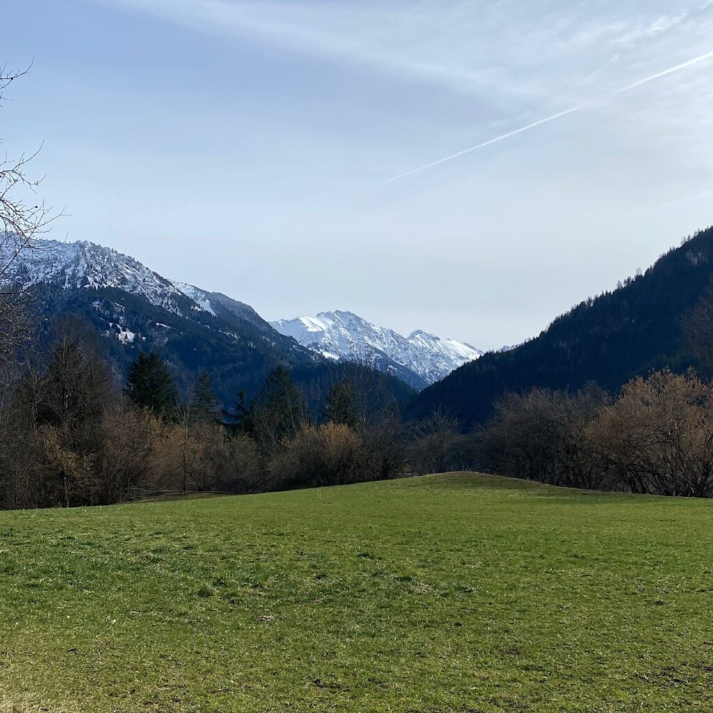 Grüne Talwiese bei Bad Hindelang, dahinter verschneite Gipfel und kahle Bäume im Spätherbst