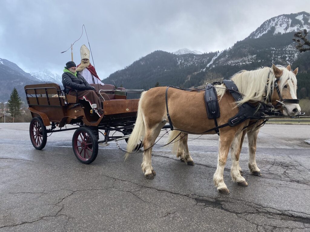 Pferdekutsche vor verschneiten Bergen in Bad Hindelang