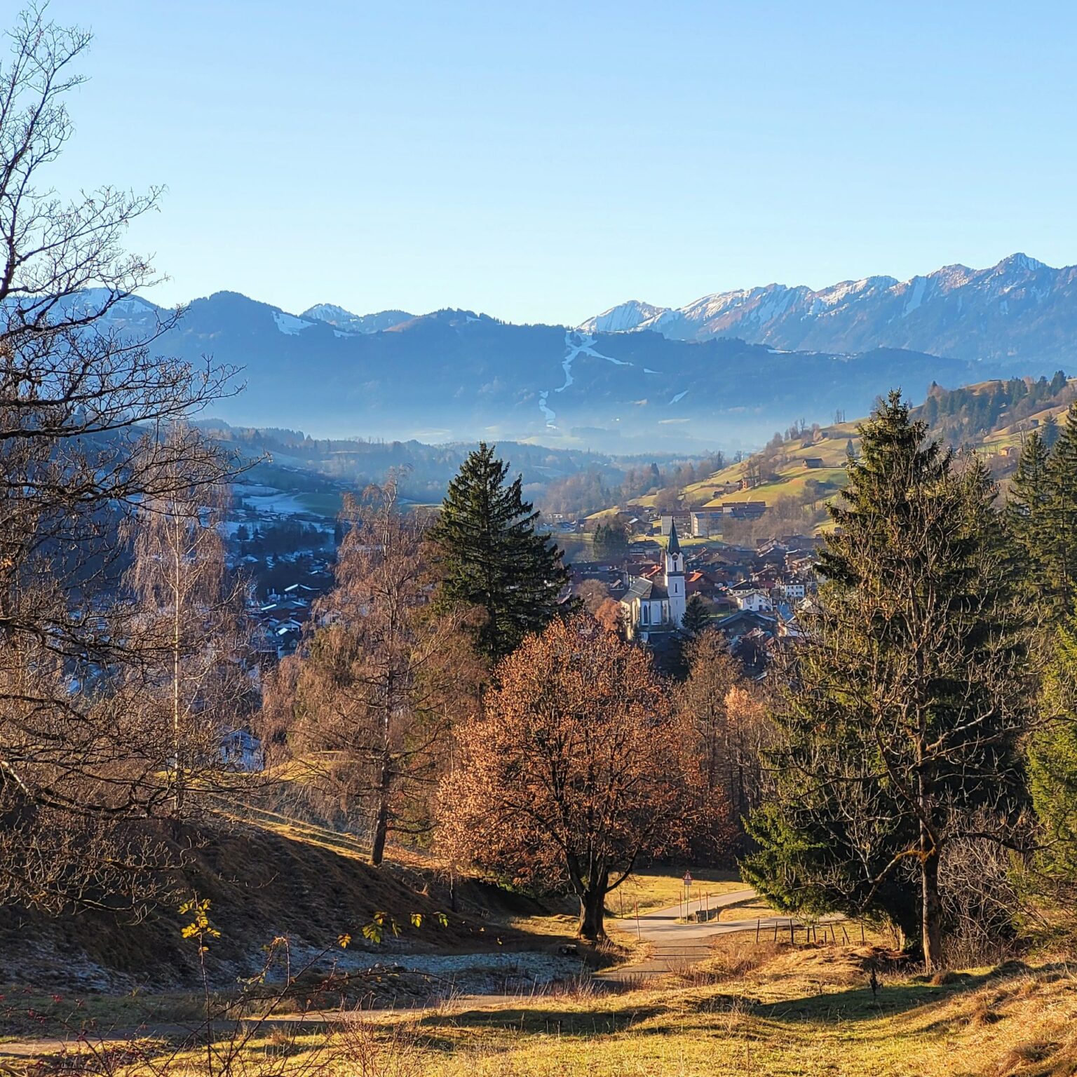 Herbstwald mit goldenen Lärchen und Blick ins Tal bei Bad Hindelang