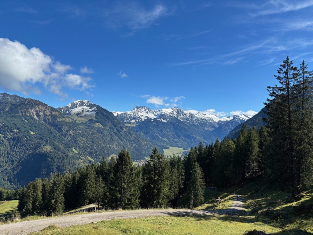Wanderweg mit Bergpanorama im Allgäu bei Bad Hindelang