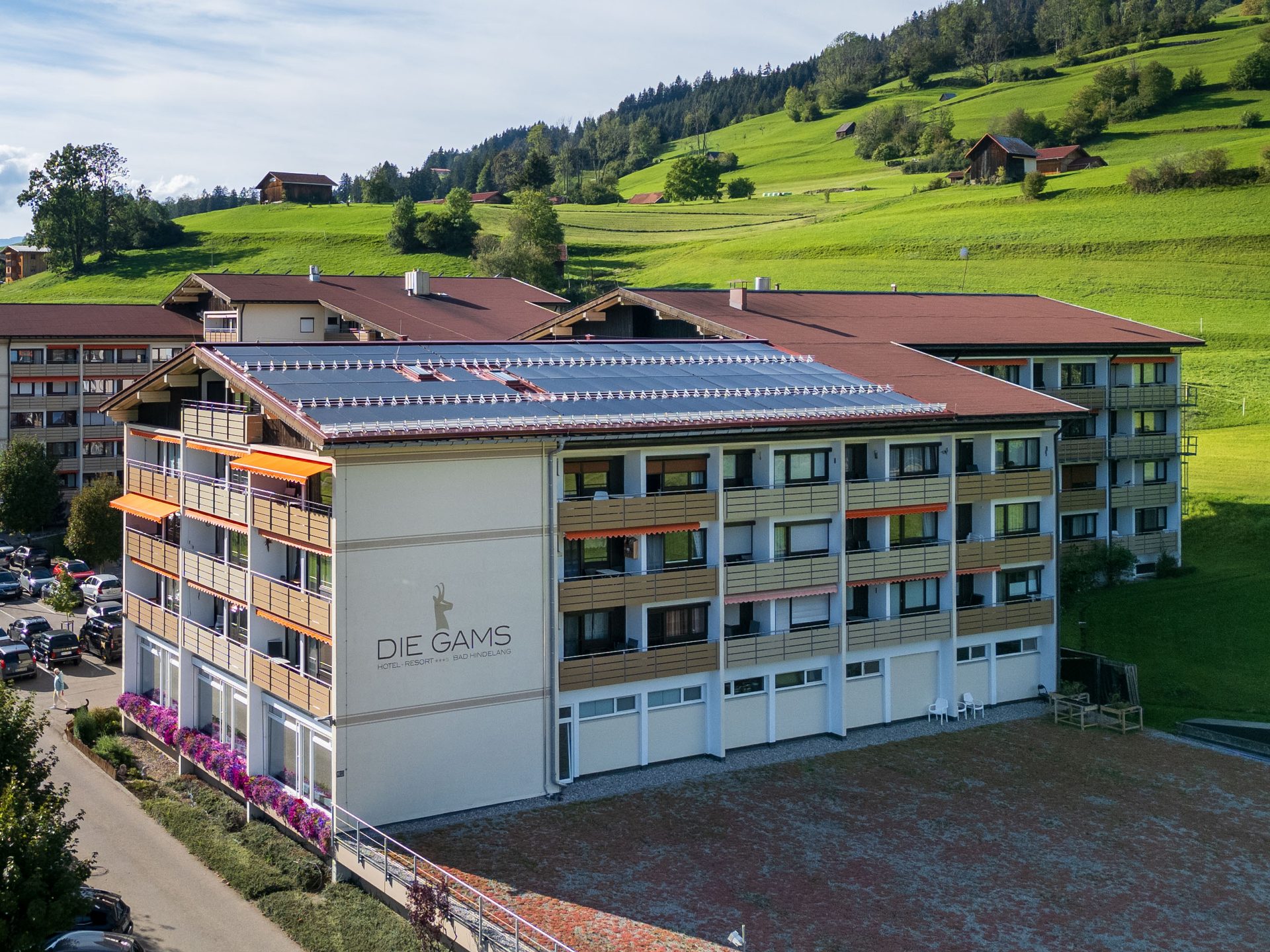 DIE GAMS am Südhang über Bad Hindelang mit Blick ins Ostrachtal