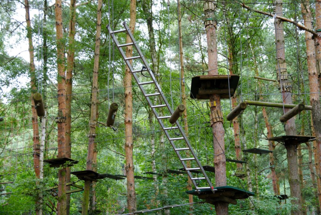 Hochseilgarten im Wald im Allgäu