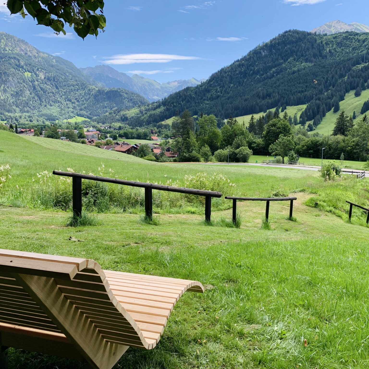 Liegen auf der Wiese mit Bergblick bei DIE GAMS