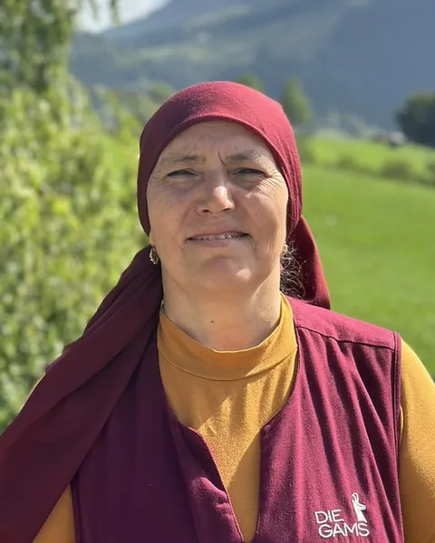 Hediye, Housekeeping