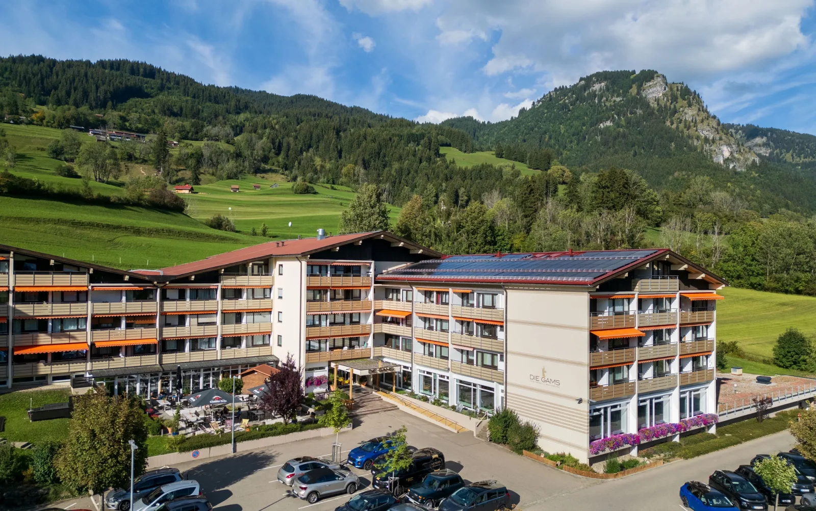 DIE GAMS in Bad Hindelang im Sommer mit Blumenwiese und Imberger Horn