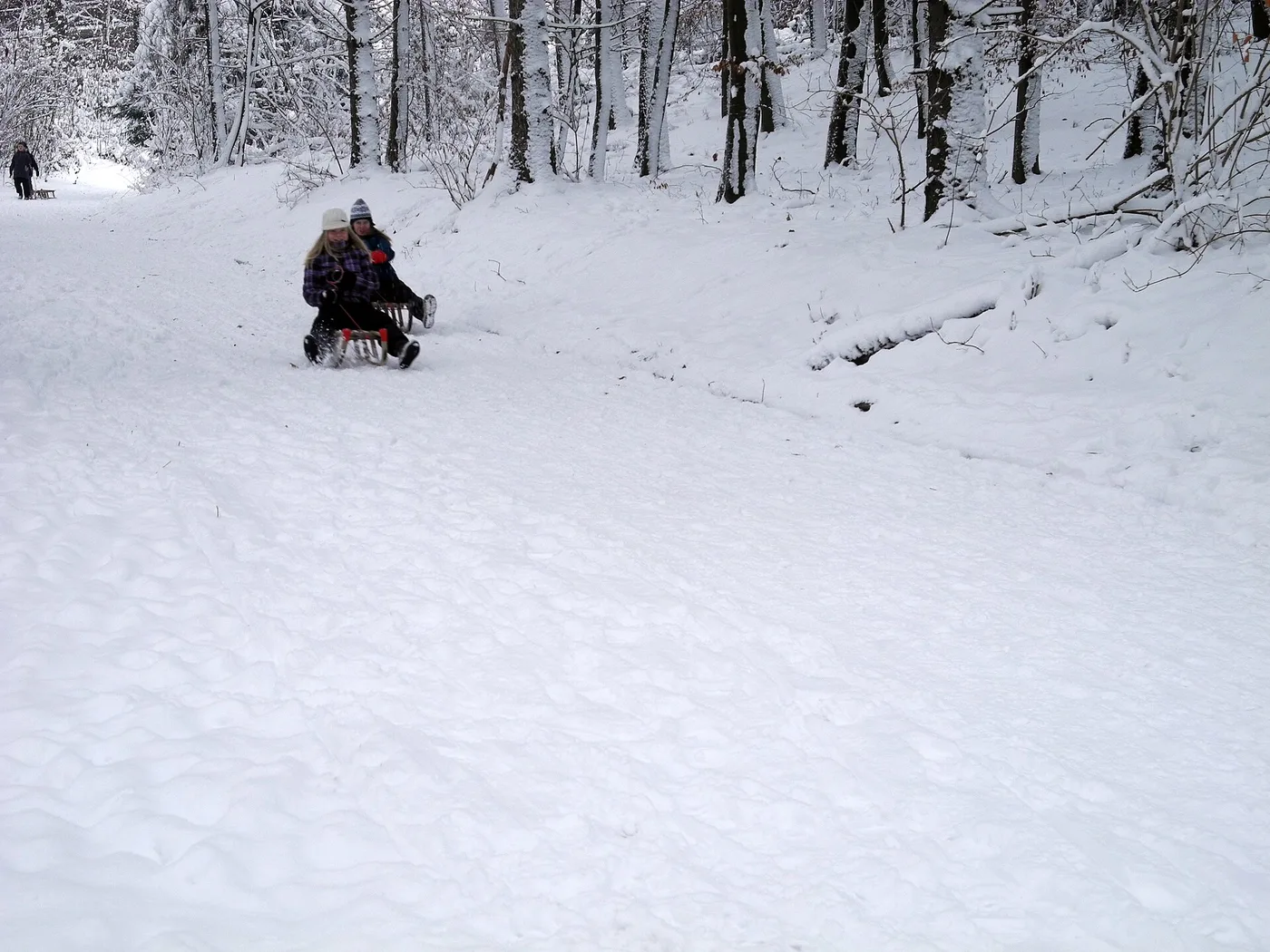 Schneekinder in Bad Hindelang