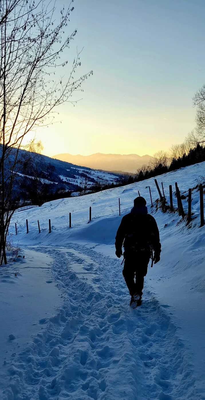 Rodeln & Winterwandern in Bad Hindelang