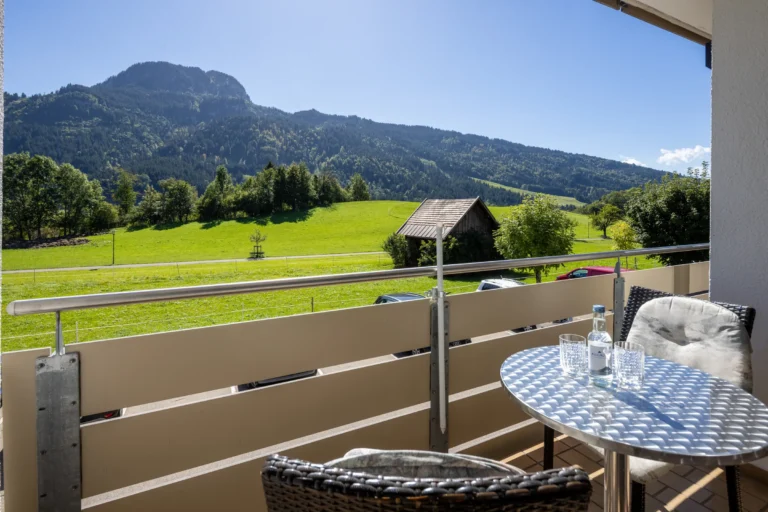 Balkon mit Blick auf Wiese, Heustadel und Imberger Horn in einem Premium-Appartement im Hotel DIE GAMS
