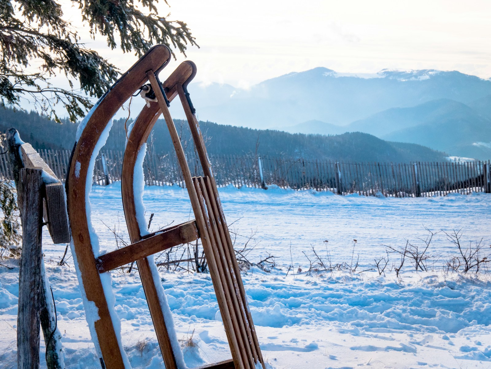 Holzschlitten steht im frischen Schnee, dahinter verschneite Landschaft