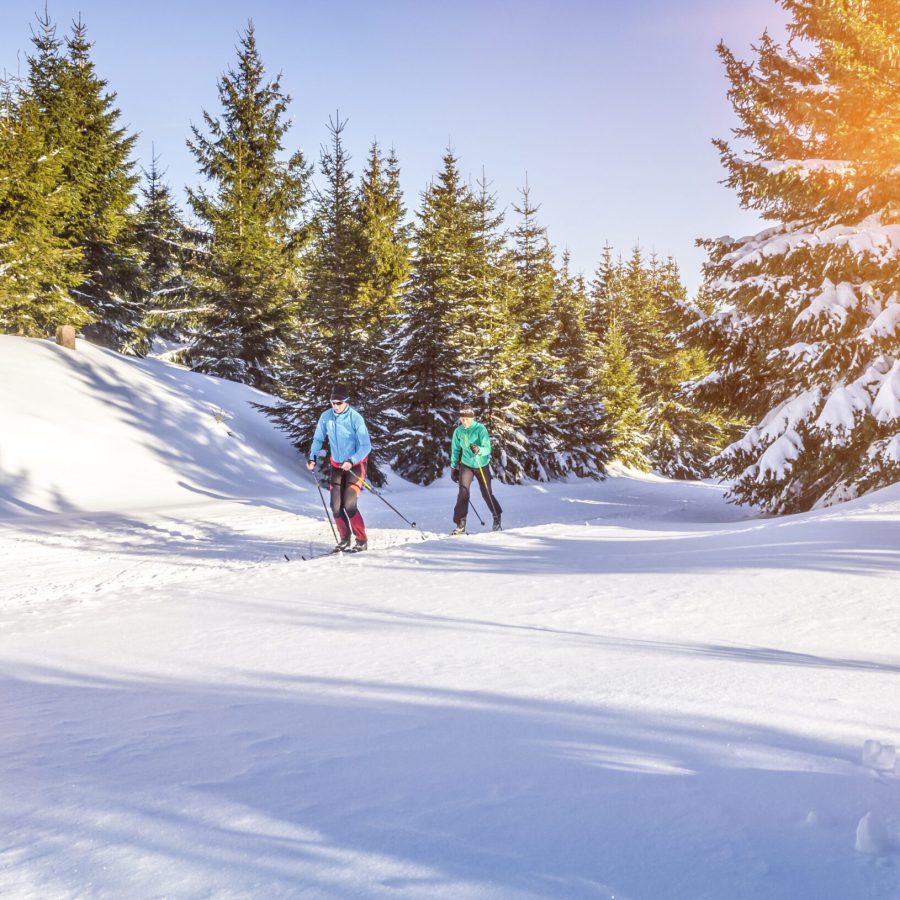 Zwei Wanderer bei einer Tour im verschneiten Wald