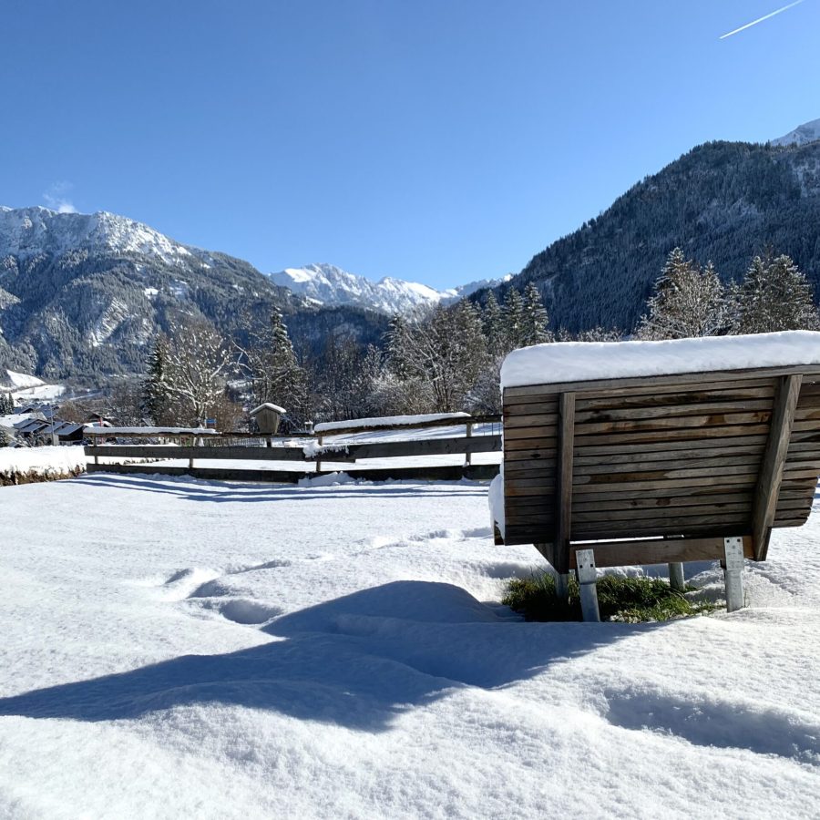 Aussicht in die verschneiten Berge