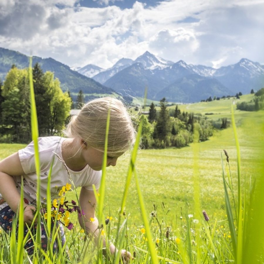 Mädchen pflügt Blumen auf einer Almwiese